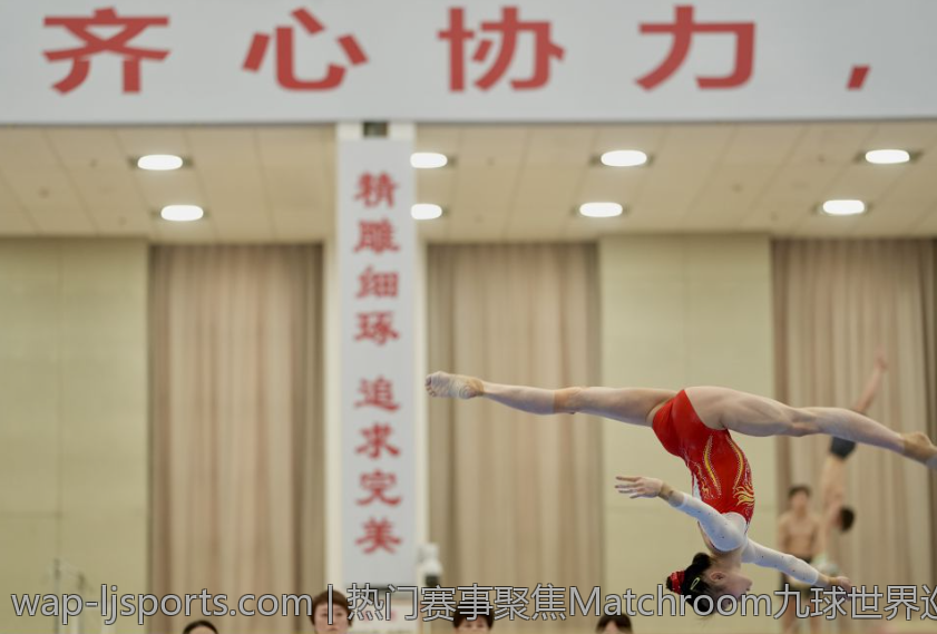 热门赛事聚焦Matchroom九球世界巡回赛直播热点分析