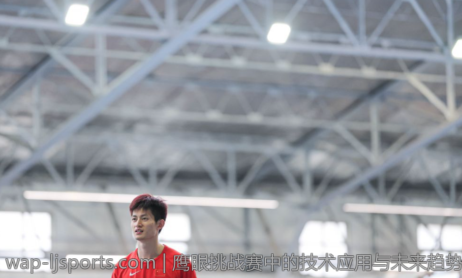 鹰眼挑战赛中的技术应用与未来趋势分析