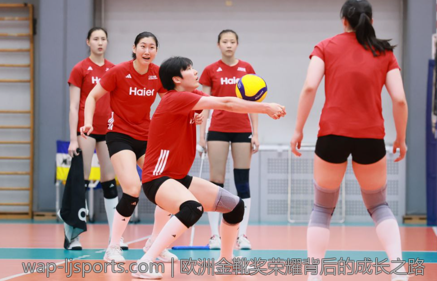 欧冠赛场观众人数统计与分析