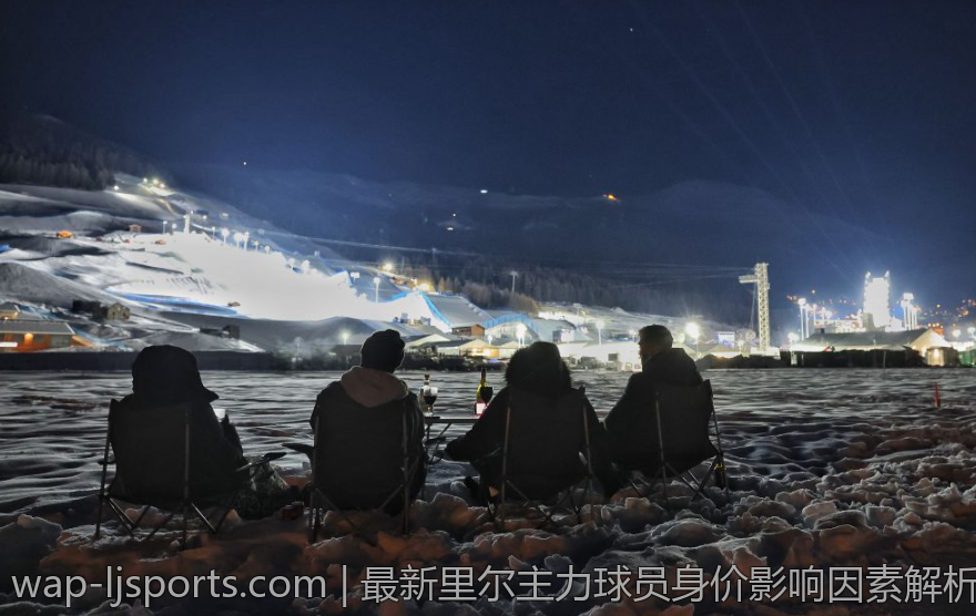 最新里尔主力球员身价影响因素解析