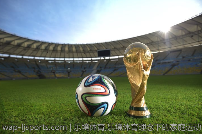 乐境体育,乐境体育理念下的家庭运动