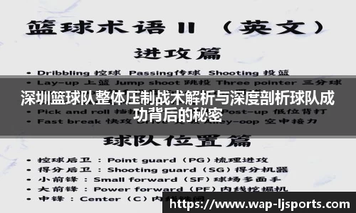 深圳篮球队整体压制战术解析与深度剖析球队成功背后的秘密